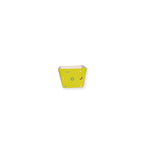 Raita Box Premium