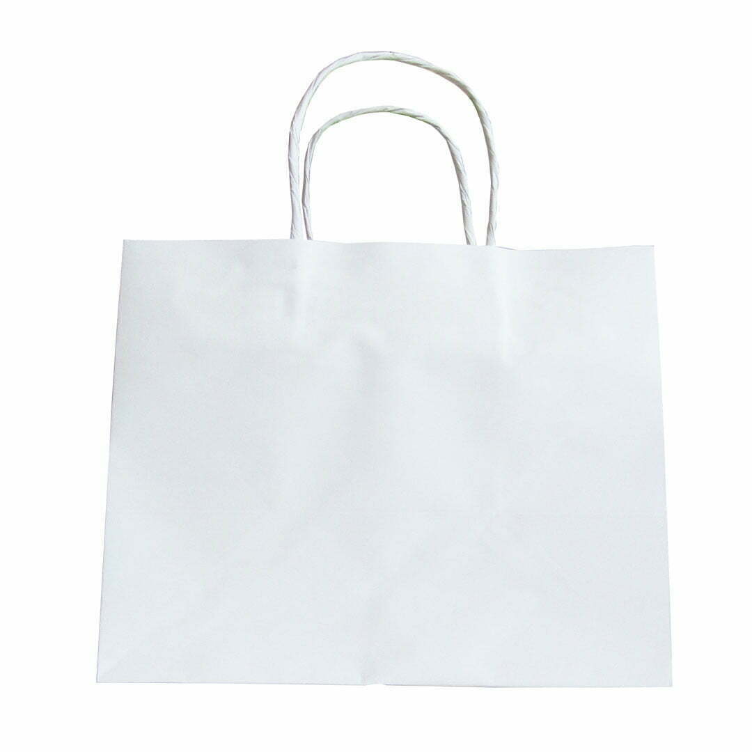 Paper Bag White